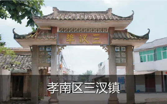 孝南区三汊镇