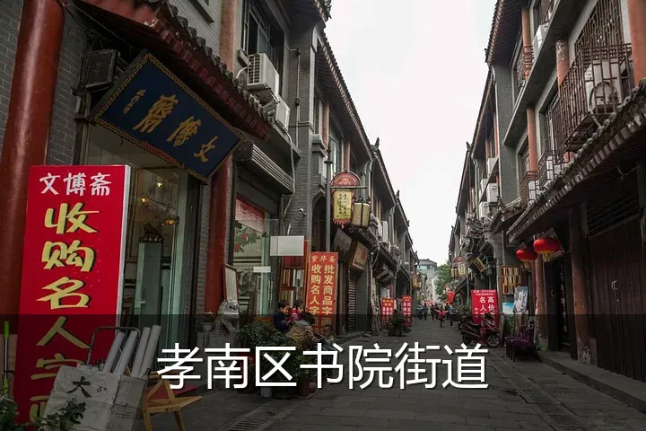 孝南区书院街道