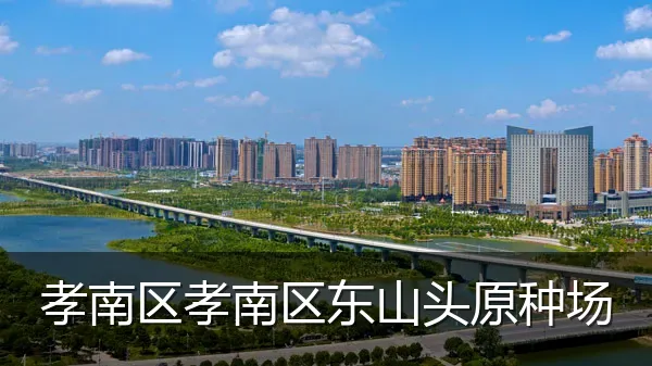 孝南区孝南区东山头原种场