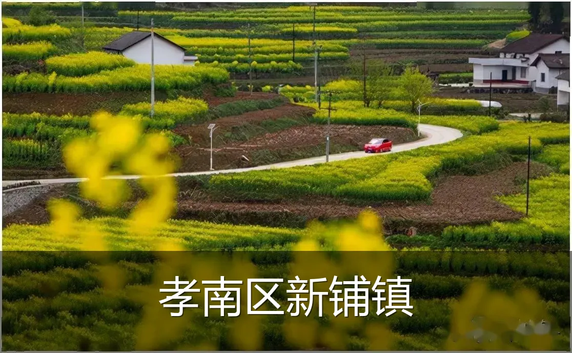孝南区新铺镇