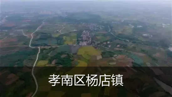 孝南区杨店镇