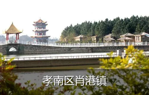 孝南区肖港镇