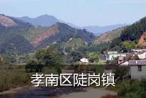 孝南区陡岗镇